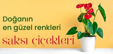 sevgiliye çiçek