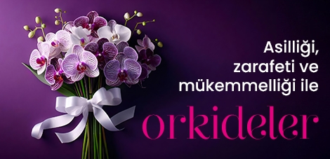 Orkideler