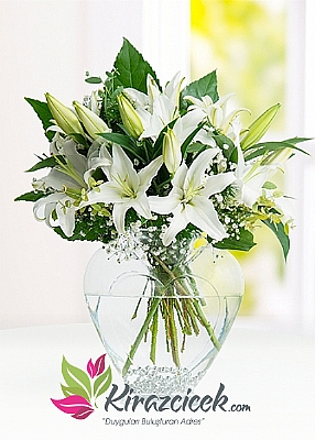 Kalp Vazoda Lilyumlar