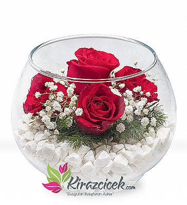 Akvaryumda Şık Tasarım Güller