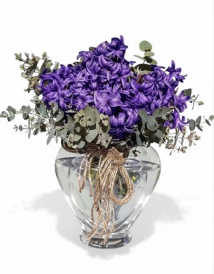 Vazoda Mis Kokulu Mor Sümbül