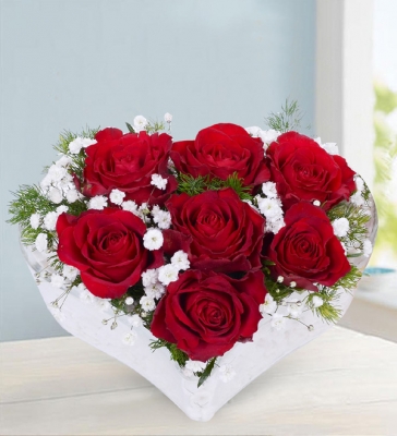 Yatay Kalpte 7 Kırmızı Gül